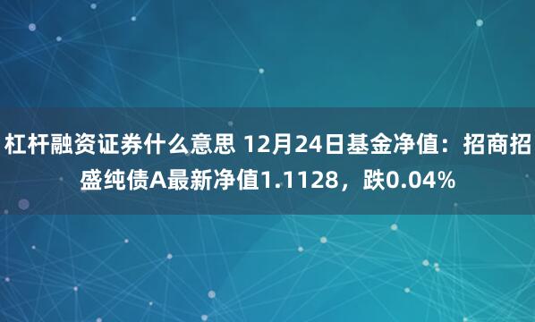 杠杆融资证券什么意思 12月24日基金净值：招商招盛纯债A最新净值1.1128，跌0.04%