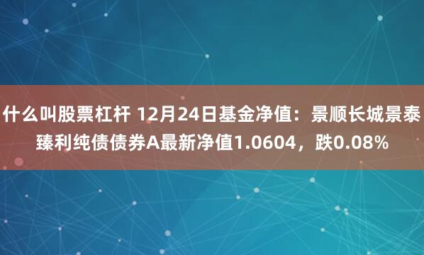 什么叫股票杠杆 12月24日基金净值：景顺长城景泰臻利纯债债券A最新净值1.0604，跌0.08%