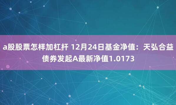 a股股票怎样加杠杆 12月24日基金净值：天弘合益债券发起A最新净值1.0173