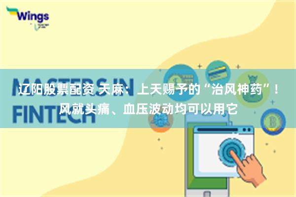 辽阳股票配资 天麻：上天赐予的“治风神药”！风就头痛、血压波动均可以用它