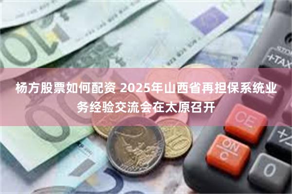 杨方股票如何配资 2025年山西省再担保系统业务经验交流会在太原召开