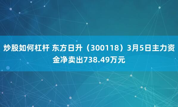 炒股如何杠杆 东方日升（300118）3月5日主力资金净卖出738.49万元