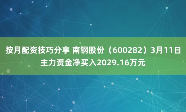 按月配资技巧分享 南钢股份（600282）3月11日主力资金净买入2029.16万元