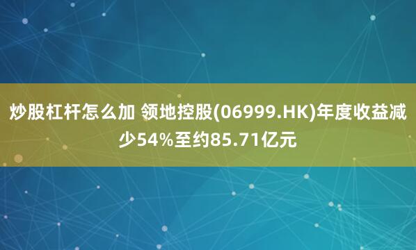 炒股杠杆怎么加 领地控股(06999.HK)年度收益减少54%至约85.71亿元