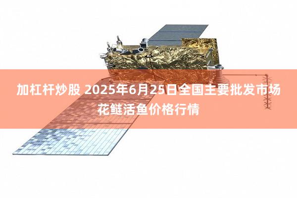 加杠杆炒股 2025年6月25日全国主要批发市场花鲢活鱼价格行情